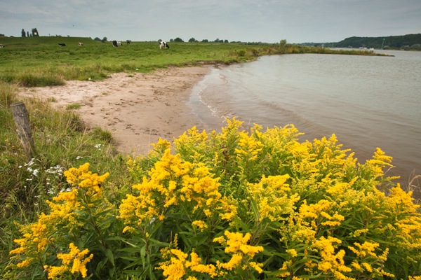 NederRijn